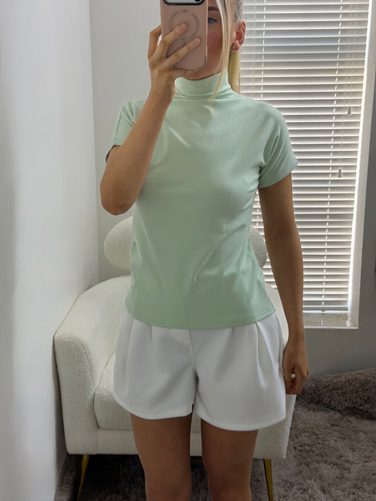 Mint High Neck Fitted Top